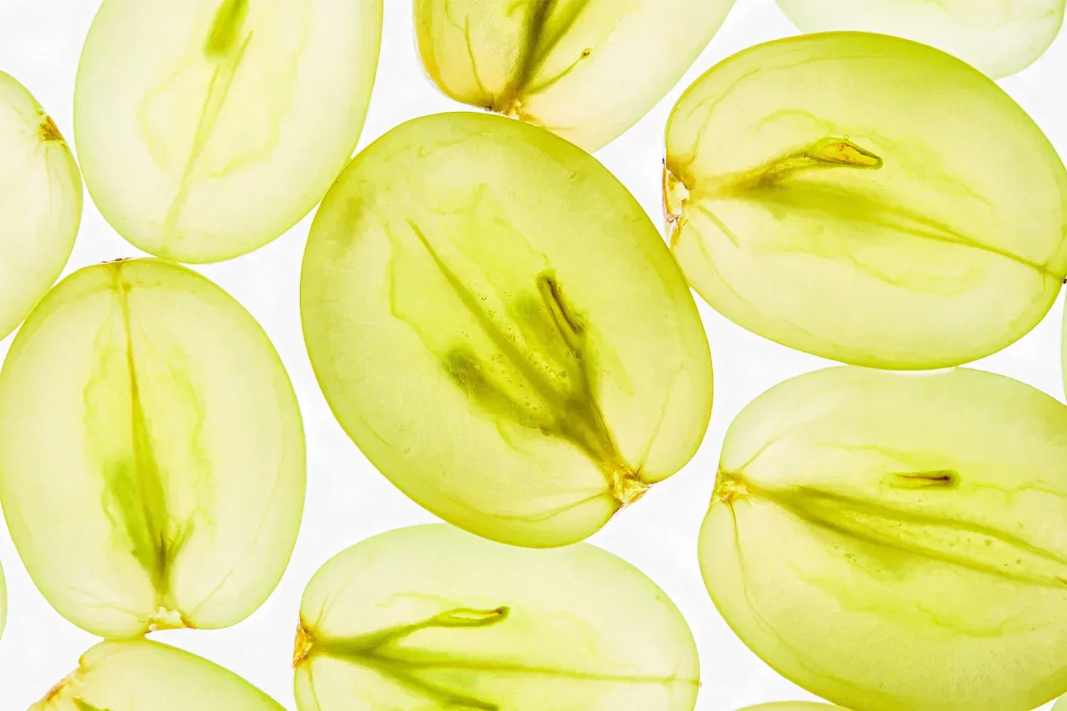OPC de Pépins de Raisin - Ysalie Beauté