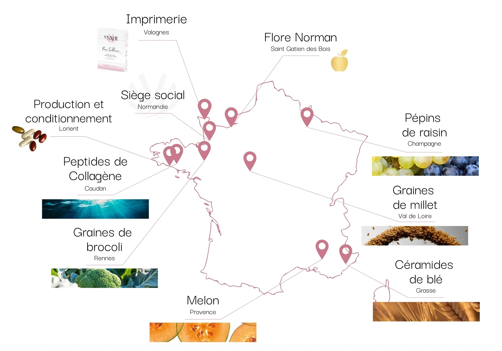 Carte de France Ysalie, avec les différents ingrédients d'origine française des produits Ysalie