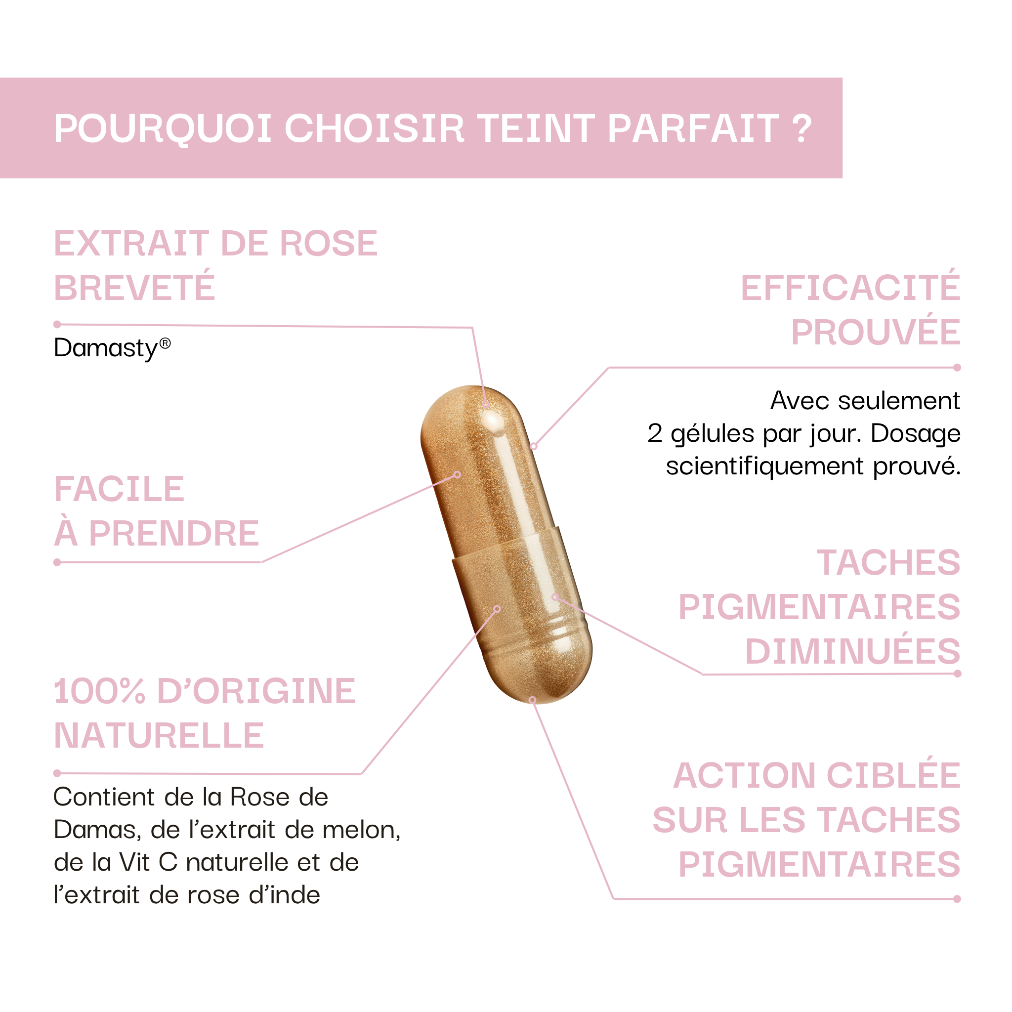 Diminution des taches pigmentaires & Teint uniforme : Teint Parfait / Damasty®