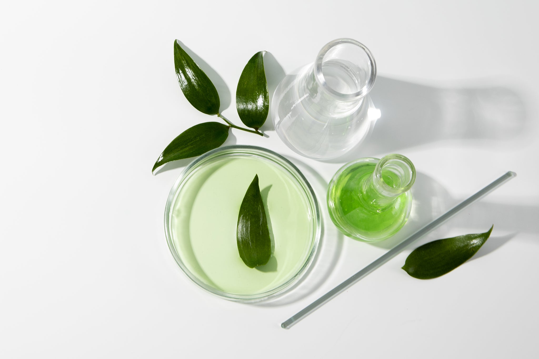 Image représentant pour Ysalie les fichiers des études scientifiques réalisées