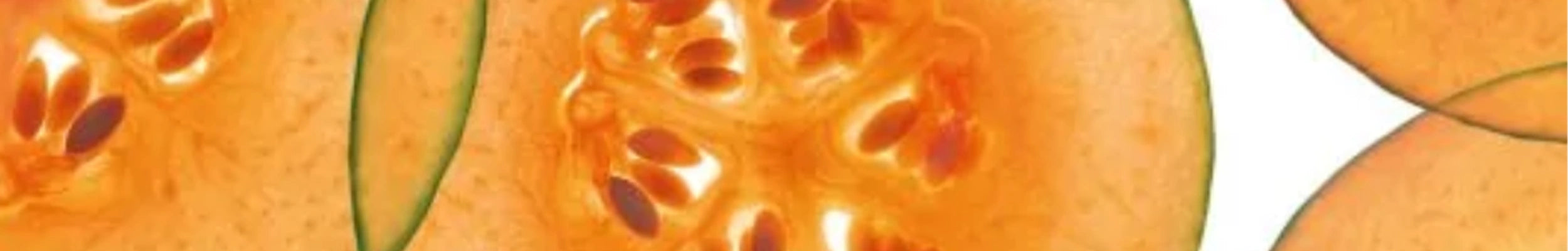 SOD de melon Holimel de Robertet