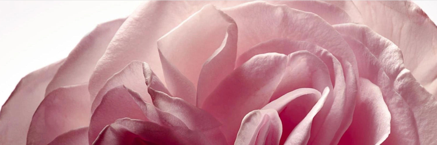fleur de rose de damas