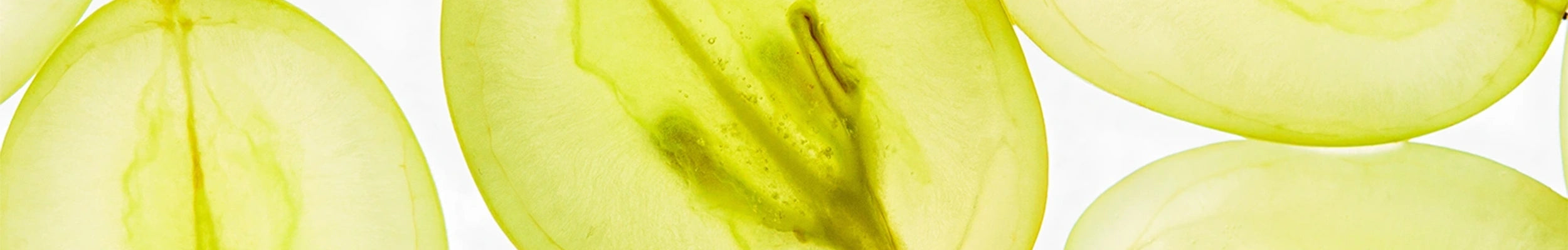 OPC de pépins de Raisin de Champenois