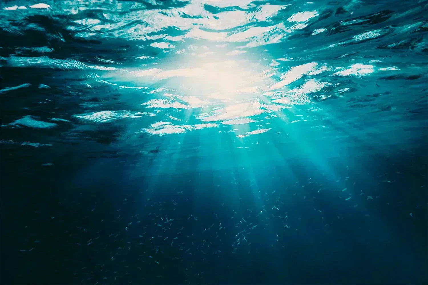 Collagène Marin - Cartidyss® - Ysalie Beauté