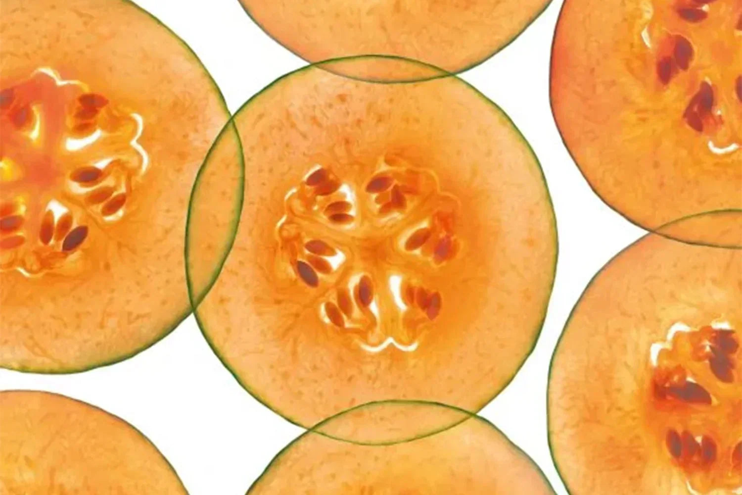 SOD de Melon - Holimel®