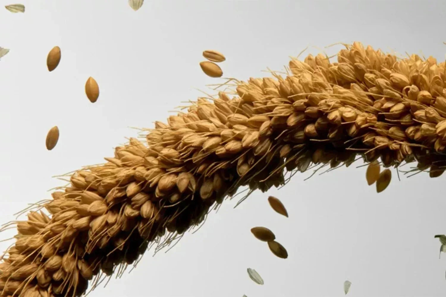 Millet - Keranat® - Ysalie Beauté