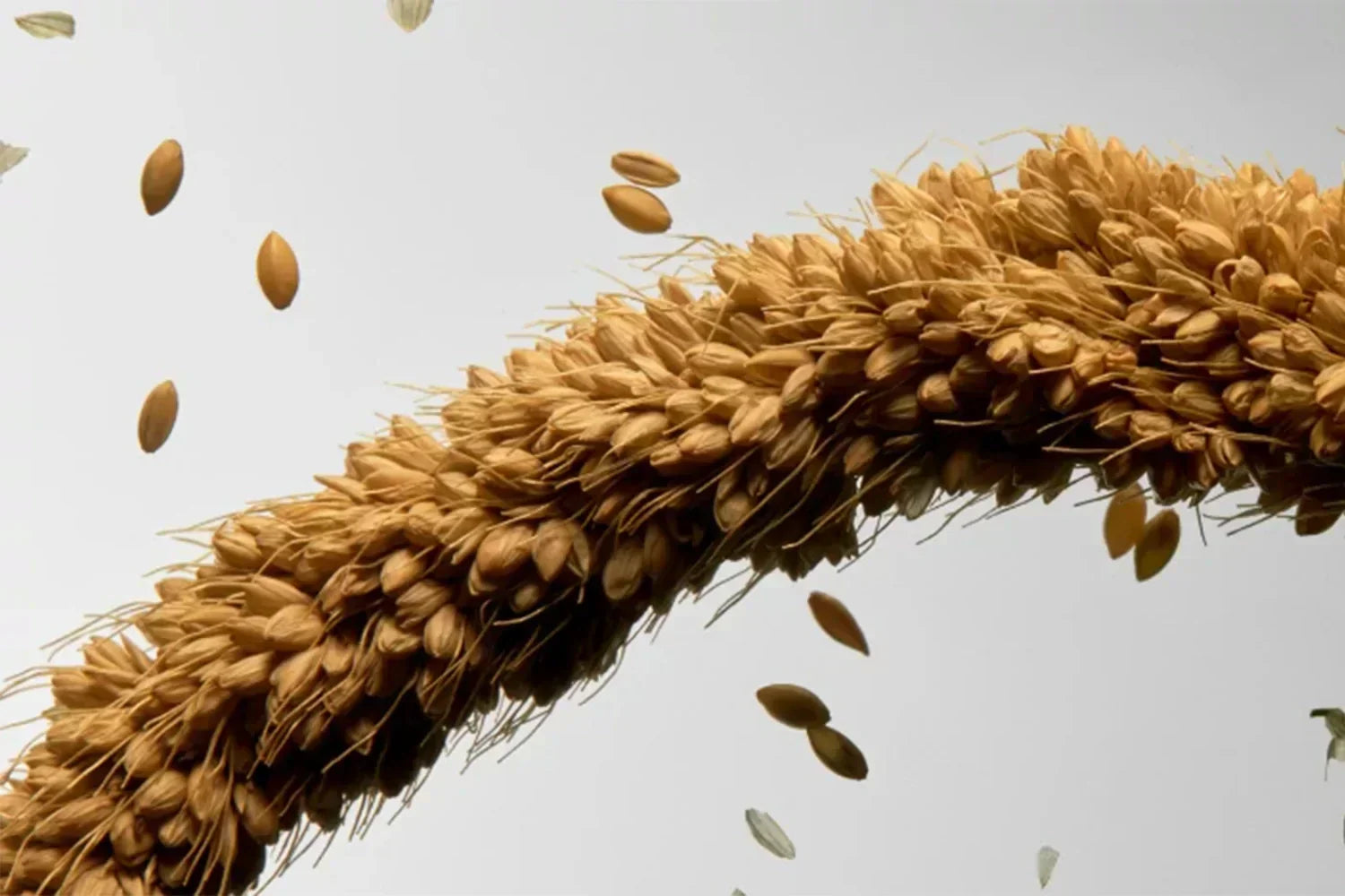 Millet - Keranat®