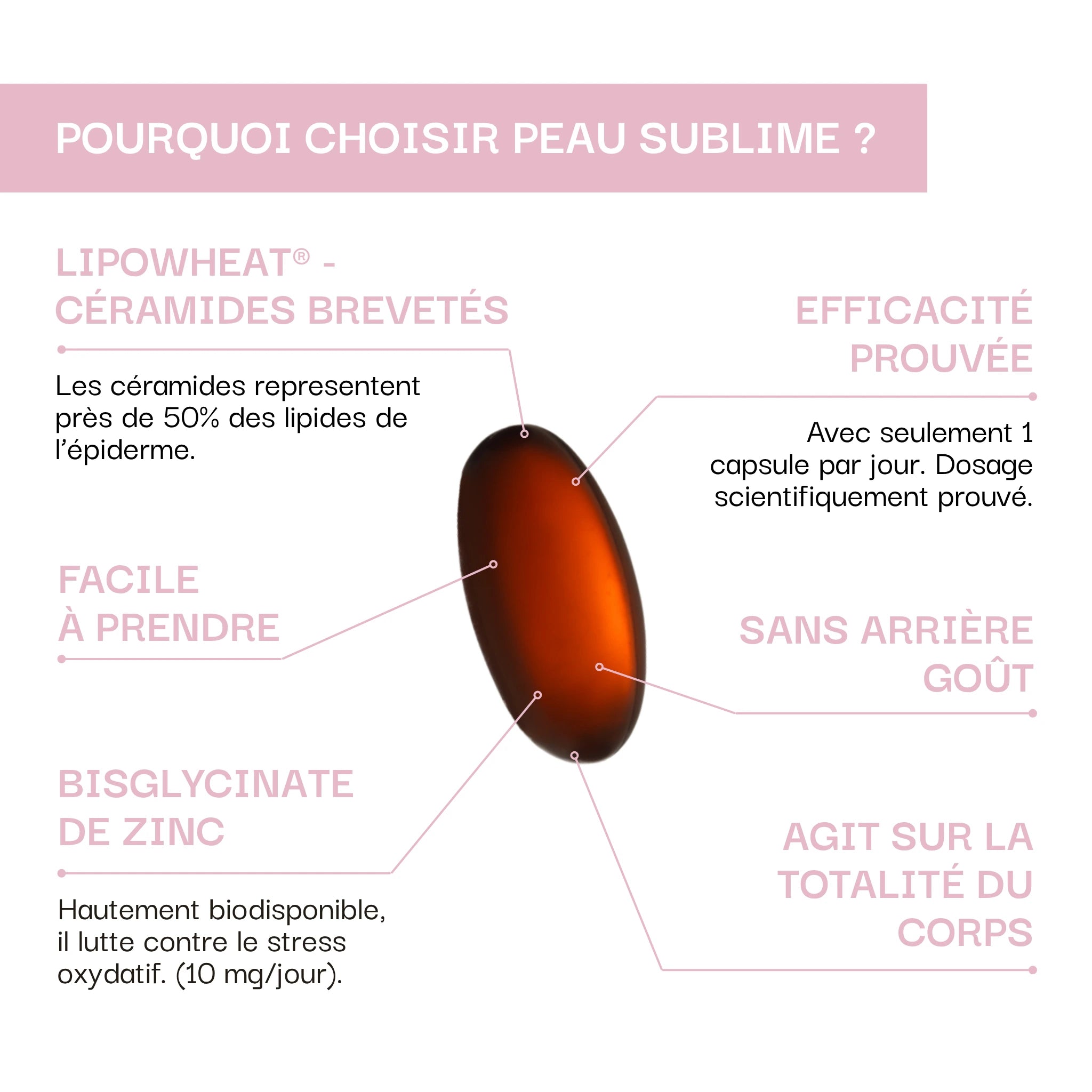 Hydratation & Éclat : Peau Sublime / Lipowheat® 350 mg